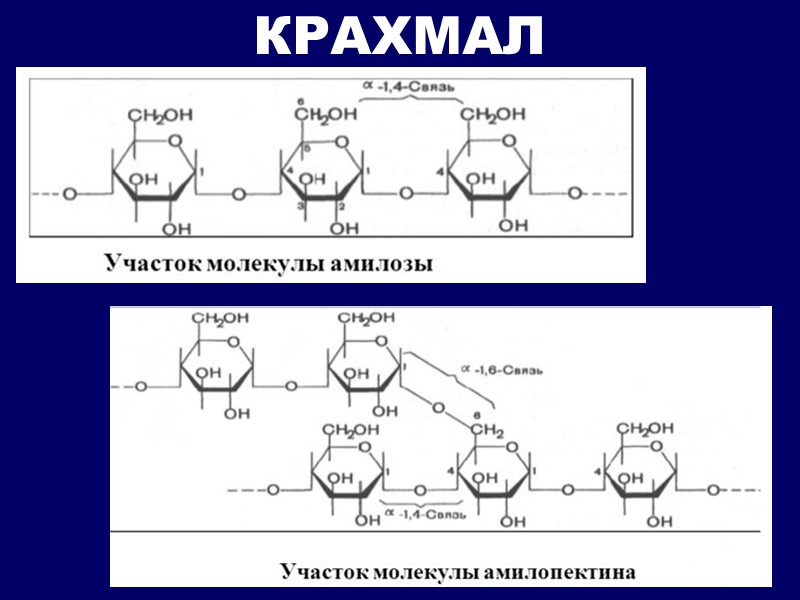 КРАХМАЛ